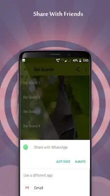 Bat Sounds android App screenshot 0