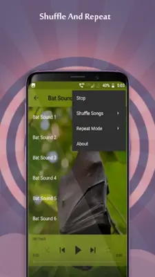 Bat Sounds android App screenshot 1