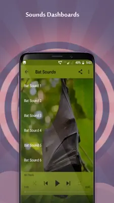 Bat Sounds android App screenshot 2