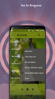 Bat Sounds android App screenshot 3