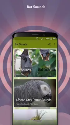 Bat Sounds android App screenshot 4